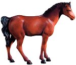 Brown Horse<br>Dolfi Leonardo Nativity